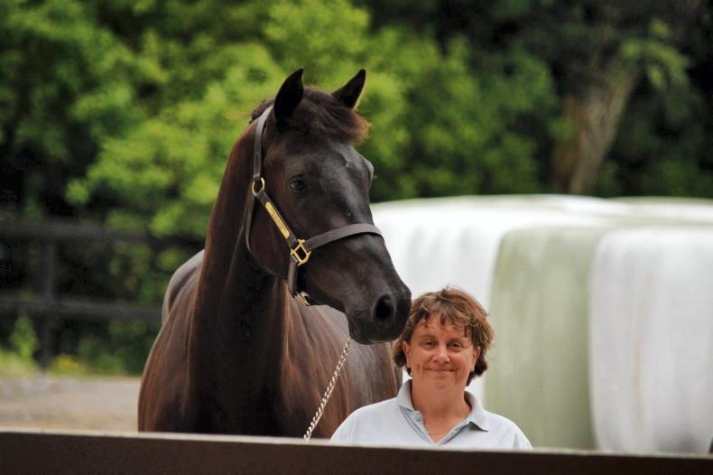 BREEDERS' 10 - Pam Walshe: 20 year mark - Vimarsana News