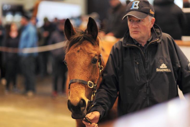SALES: Shadwell stock in demand at Newmarket - Vimarsana News