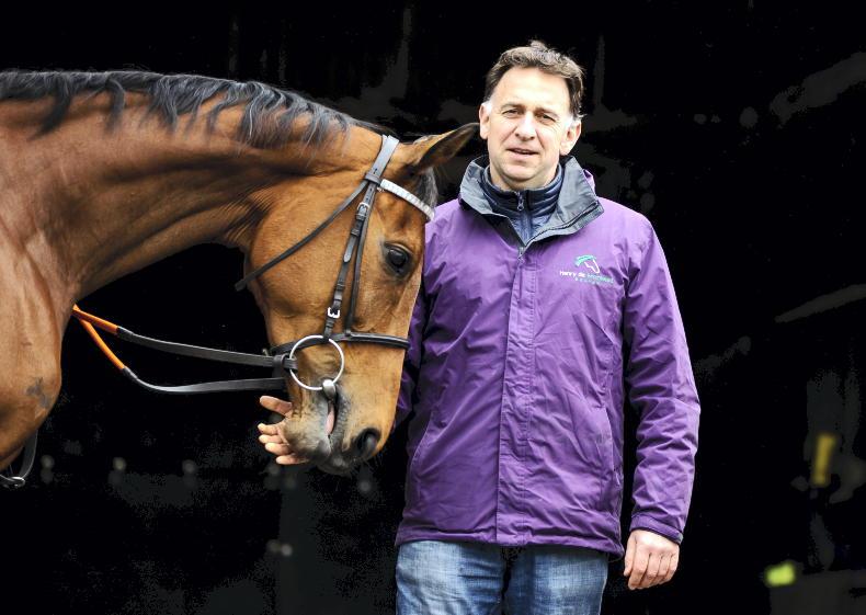 CHELTENHAM: Henry the Navigator - Vimarsana News