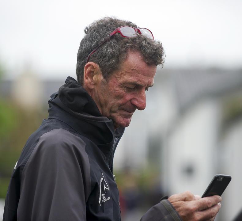 Sir Mark Todd apologises for striking horse - Vimarsana News