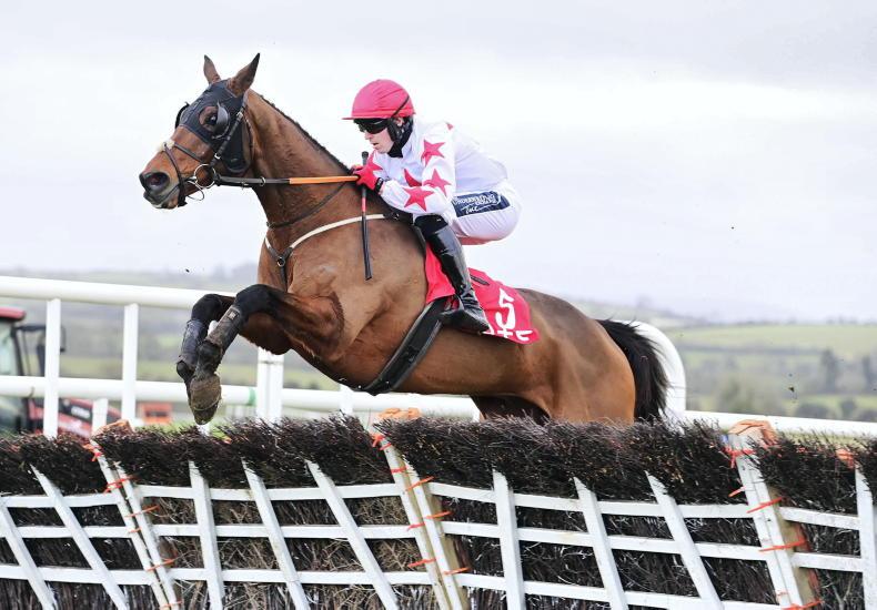 NAVAN TUESDAY: Follow the Star in Boyne Hurdle - Vimarsana News