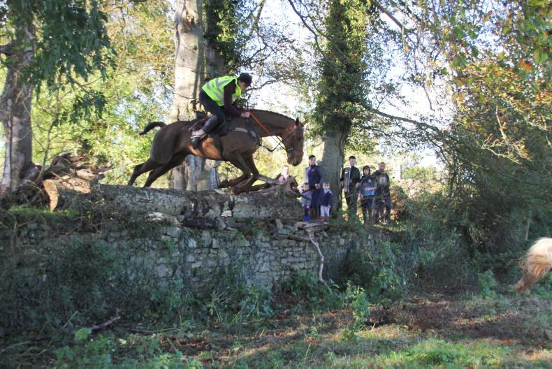 PONY TALES: Good luck down under Mark! - Vimarsana News