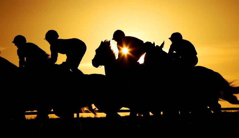 British racing takes horses out of food chain - Vimarsana News