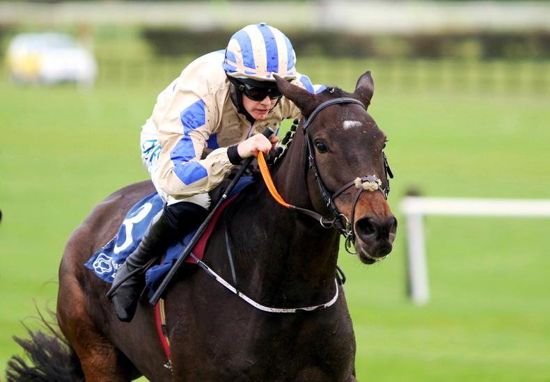NAAS SUNDAY PREVIEW: Start the day win a Guinness - Vimarsana News