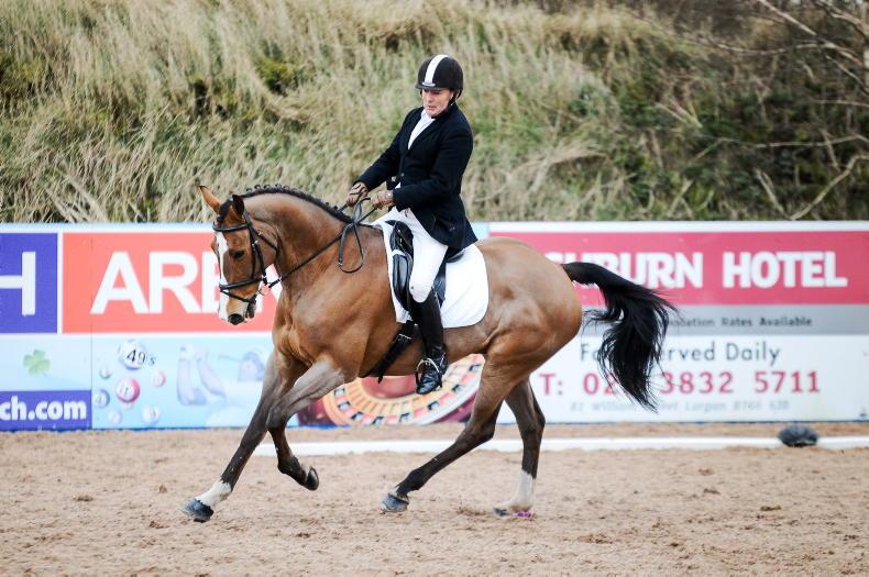 AROUND THE COUNTRY: Currie and Aramis prove unbeatable - Vimarsana News