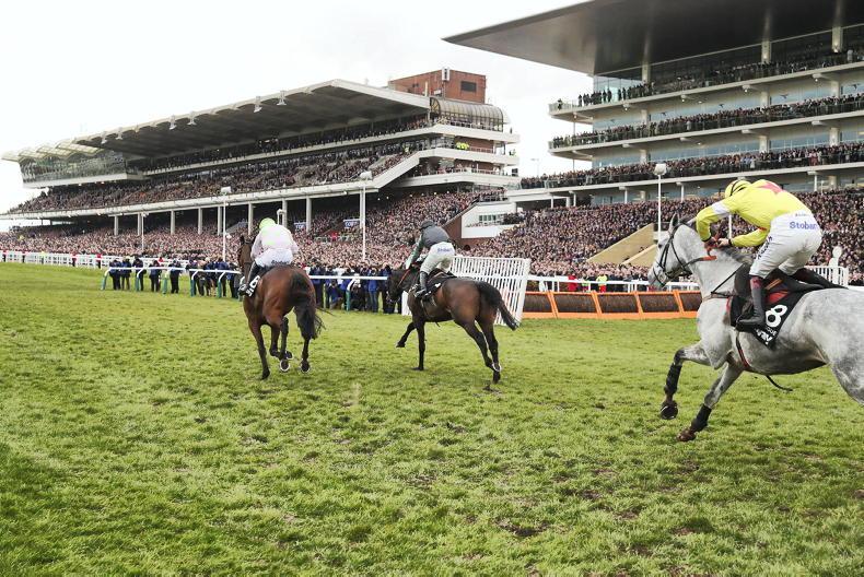 Cheltenham expects soft in Festival going description - Vimarsana News