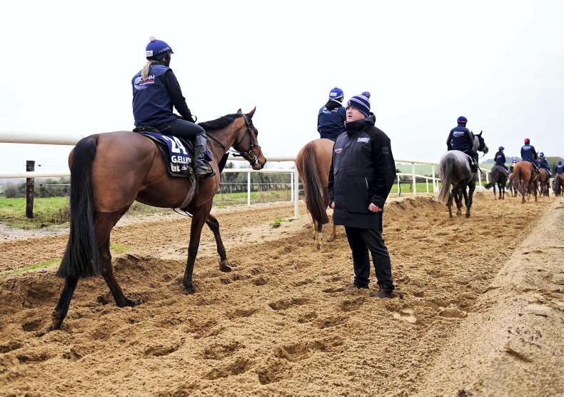 TALKING TRAINER: Gordon Elliott - Vimarsana News