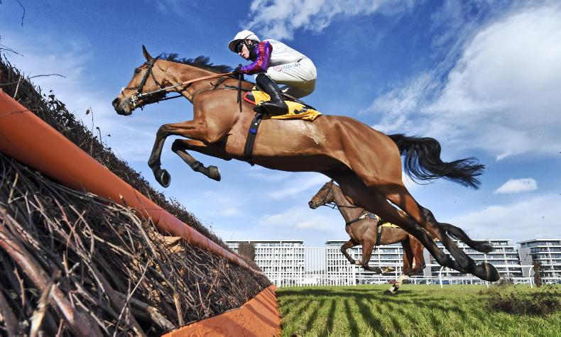 Paul Nicholls sweet on Bravemansgame - Vimarsana News