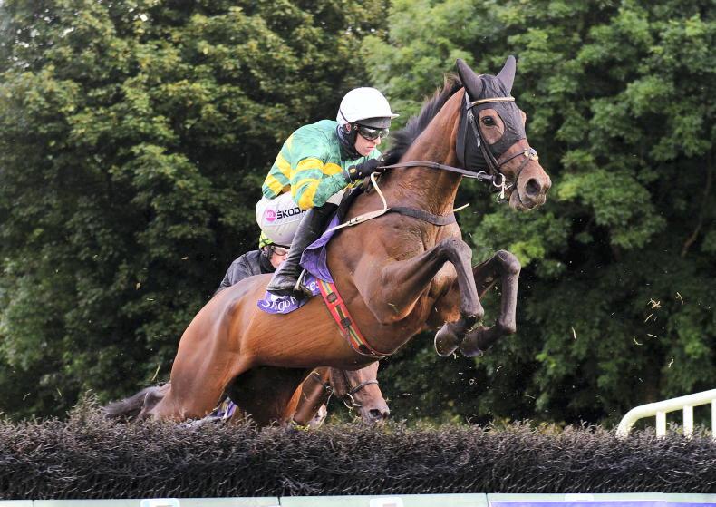 WEXFORD SUNDAY: Warrior can get back to winning ways - Vimarsana News