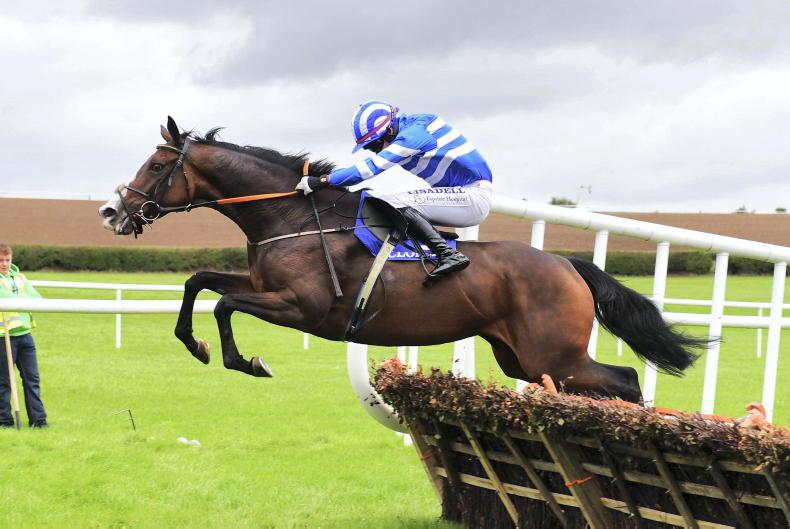 LEOPARDSTOWN SUNDAY: Whiskey Sour can grab this opportunity - Vimarsana News