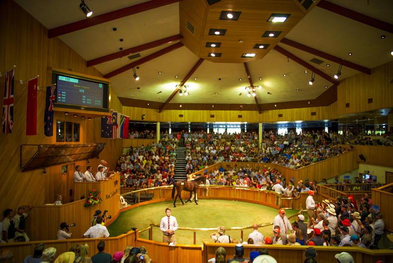NEW ZEALAND: Asterix stars in Kiwi Derby - Vimarsana News
