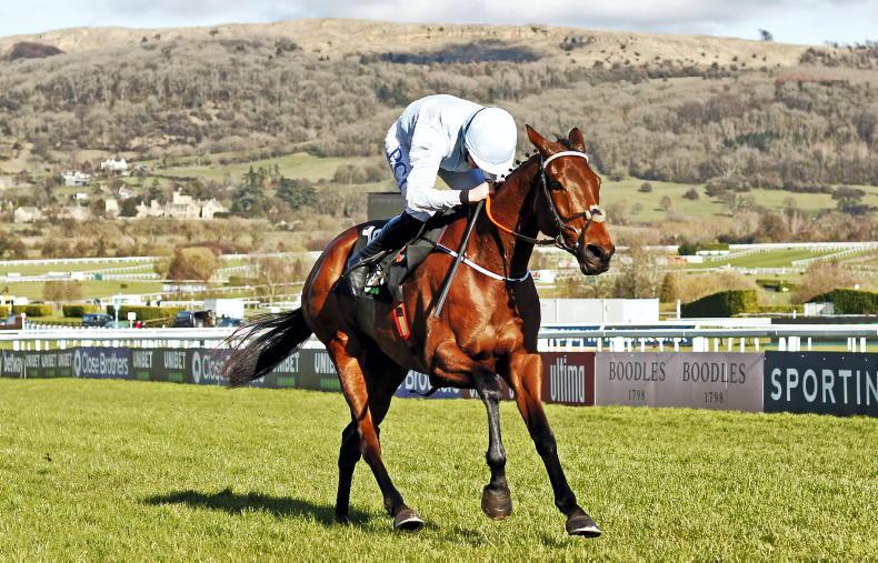 CHELTENHAM: Honeysuckle tops the Champion 10 - Vimarsana News