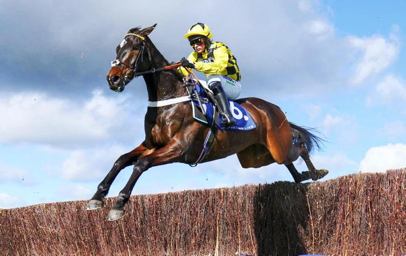 Big three remain in Champion Chase picture - Vimarsana News