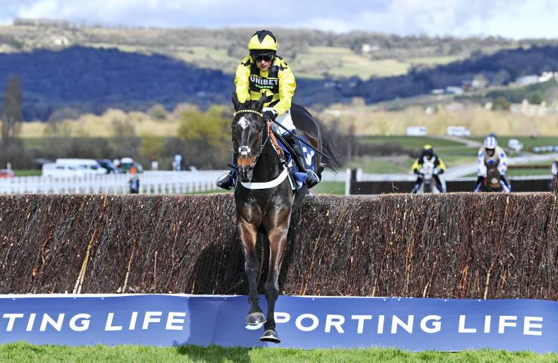 CHELTENHAM TIPS: Selections for every race on Wednesday - Vimarsana News