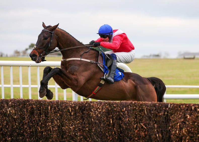 CHELTENHAM THURSDAY TIPS: Press go with Allaho - Vimarsana News
