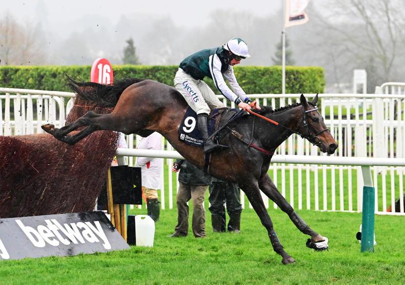 CHELTENHAM WEDNESDAY: L'Homme Presse brilliant in Brown Advisory - Vimarsana News
