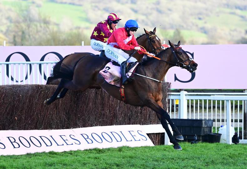 CHELTENHAM: Blackmore finds Gold with A Plus Tard - Vimarsana News