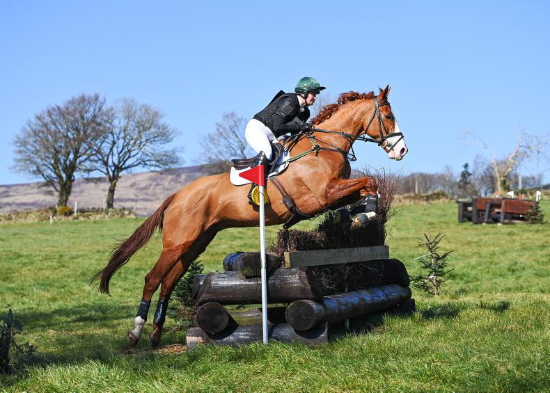 EVENTING: Cassells scores winning Point - Vimarsana News