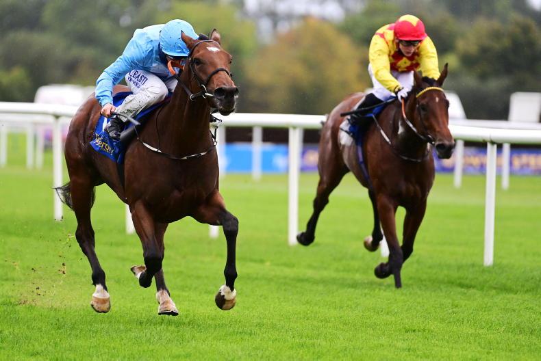 CURRAGH SATURDAY: Back Stack's filly to prove Ahandful for Lincoln rivals 25 March 2022 Free - Vimarsana News