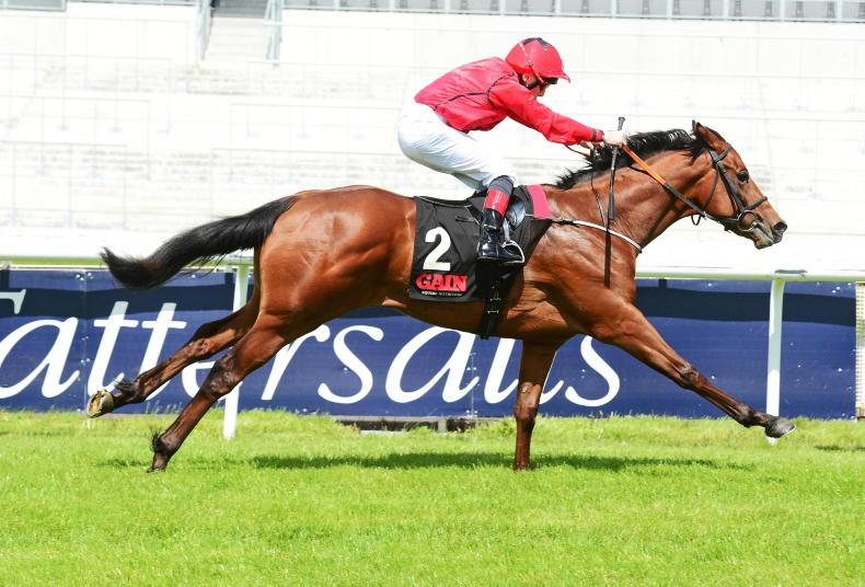 NEWS: Stack outlines Commonwealth Cup target for Castle Star - Vimarsana News
