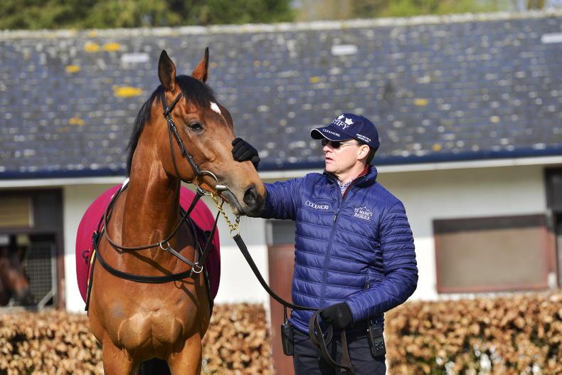 TALKING TRAINER: Aidan O'Brien - 'This time of year you are dreaming more' - Vimarsana News