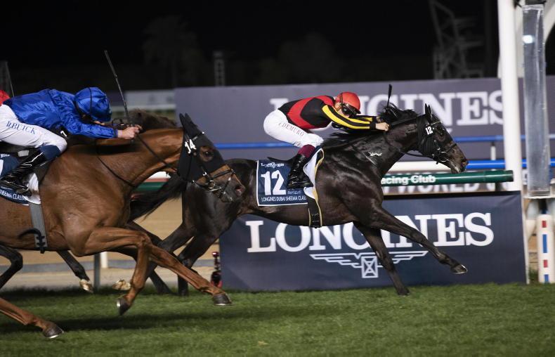 BREEDING INSIGHTS: Meydan produces another feast of Japanese success - Vimarsana News