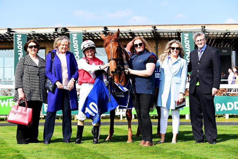SIRE FOCUS: Off to a flying start - Vimarsana News