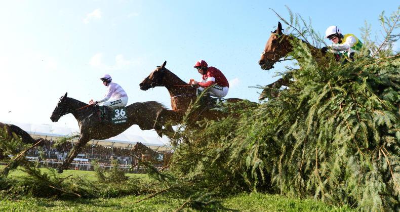 DONN MCCLEAN: This 16/1 Irish horse fits the trends and has the class to win the - Vimarsana News