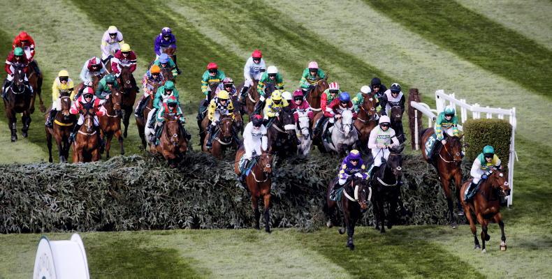 RORY DELARGY: My runner-by-runner guide to the Grand National - Vimarsana News