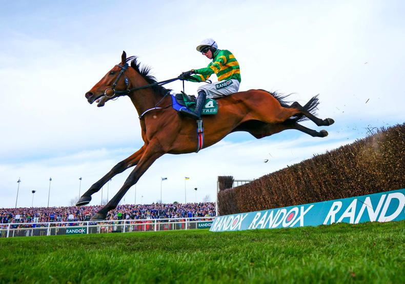 AINTREE FRIDAY: J.P.'s hot favourites D'ou the business - Vimarsana News