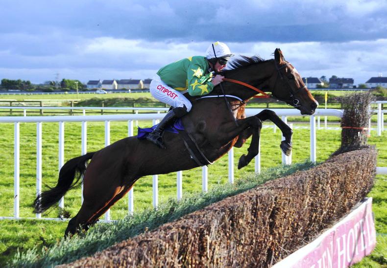 Death of two Grand National runners - Vimarsana News