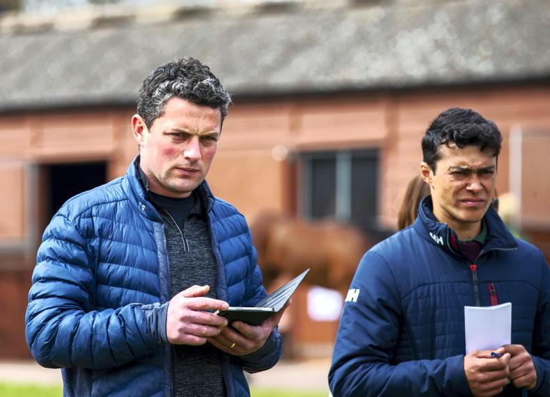 SALES: Michael O'Callaghan gets 460,000gns filly for Amo Racing - Vimarsana News