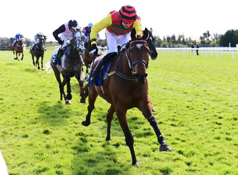 RACING CENTRAL: Casey hopeful Flamingo can fly highest in the National - Vimarsana News