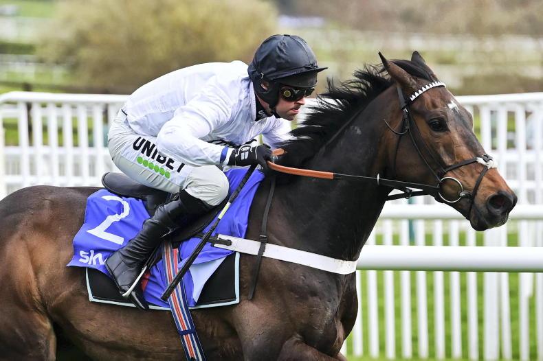 Constitution Hill won't run at Punchestown - Vimarsana News