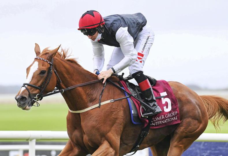 NAVAN PREVIEW: Song looks set for a perfect start - Vimarsana News