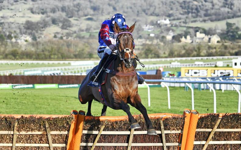 Paisley Park among eight in Ladbrokes Stayers Hurdle - Vimarsana News