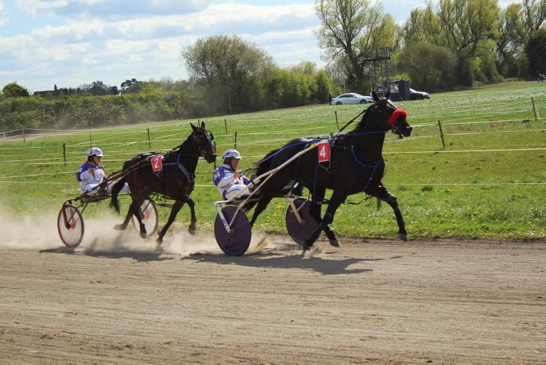 HARNESS RACING: Besame Mucho back to the boil - Vimarsana News