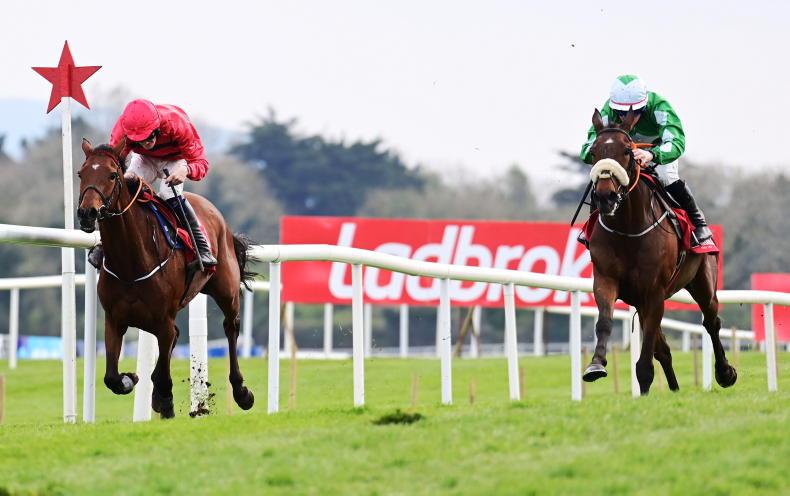 BREEDING INSIGHTS: Fahey bags a second Red Mills final win - Vimarsana News
