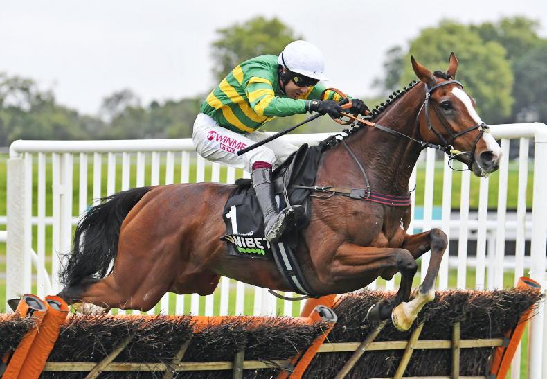 PUNCHESTOWN SATURDAY PREVIEW: Camprond can step up - Vimarsana News