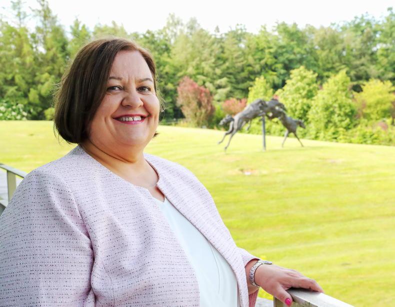 THE BIG INTERVIEW: Sustainability at the heart of Eade's ambition - Vimarsana News