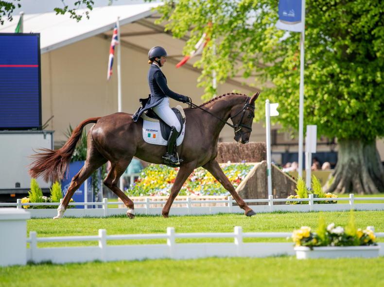 BADMINTON: Olympic gold medallist leads after dressage - Vimarsana News