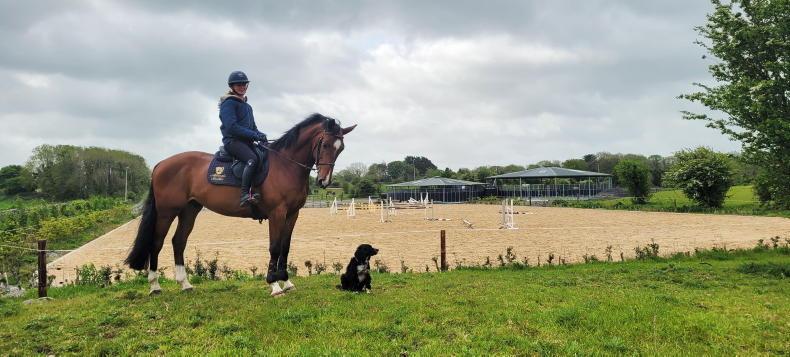 NEWS: Proposed greenway is 'huge blockage' for Galway show jumper - Vimarsana News