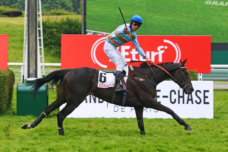 NEWS: Willie Mullins sending three for 'Grand Steep' - Vimarsana News