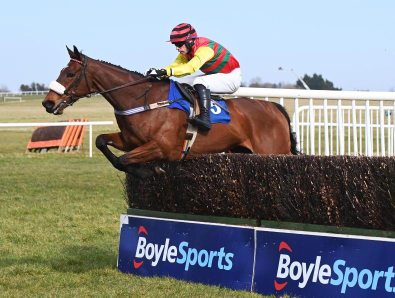 KILLARNEY SUNDAY PREVIEW: Max Flamingo can get back to winning ways - Vimarsana News