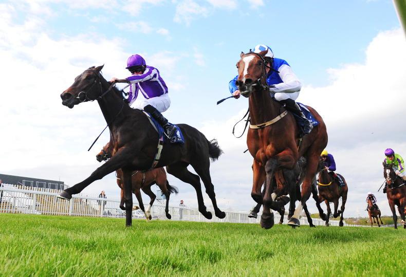 LADBROKES NAP TABLE: Selections for May 14th/15th - Vimarsana News