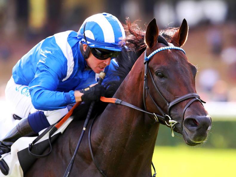 NEWS: Baaeed - best since Frankel? - Vimarsana News