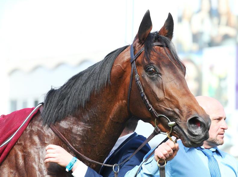 NEWS: Dettori booked for Piz Badile Derby ride - Vimarsana News