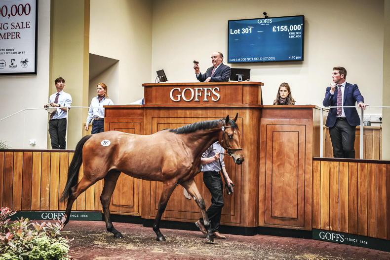 SALES: Henrietta Knight strikes again at Doncaster - Vimarsana News