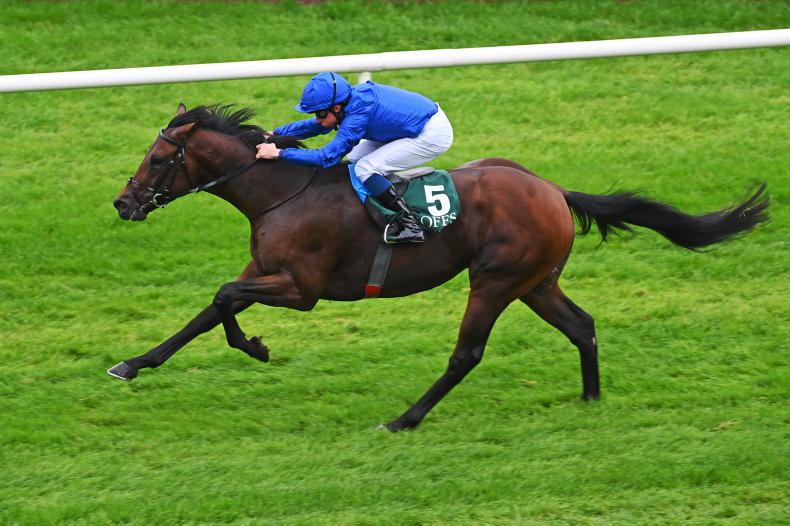 IRISH 2000 GUINEAS: On the Trail for Guineas compensation - Vimarsana News