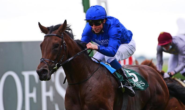 RACING CENTRAL: Will stall one put a stall on Native Trail? - Vimarsana News
